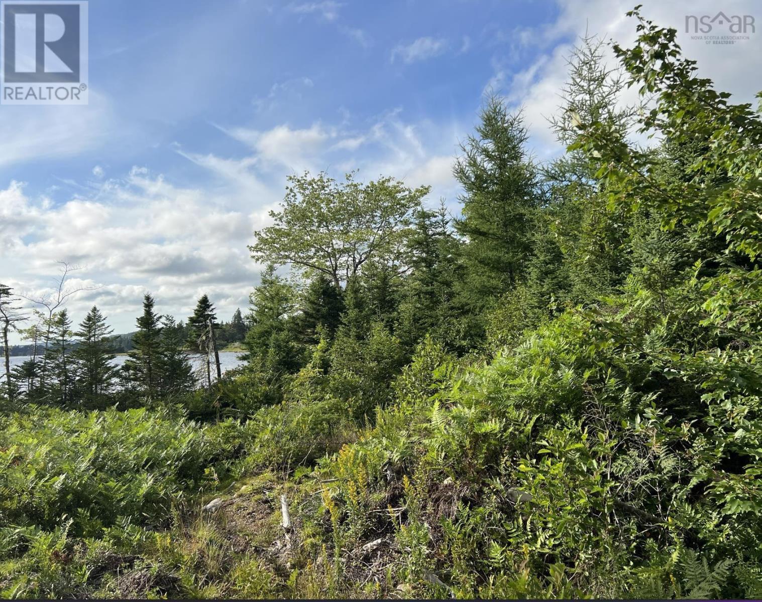 Property For Sale Isaacs Harbour at Joseph Gibson blog