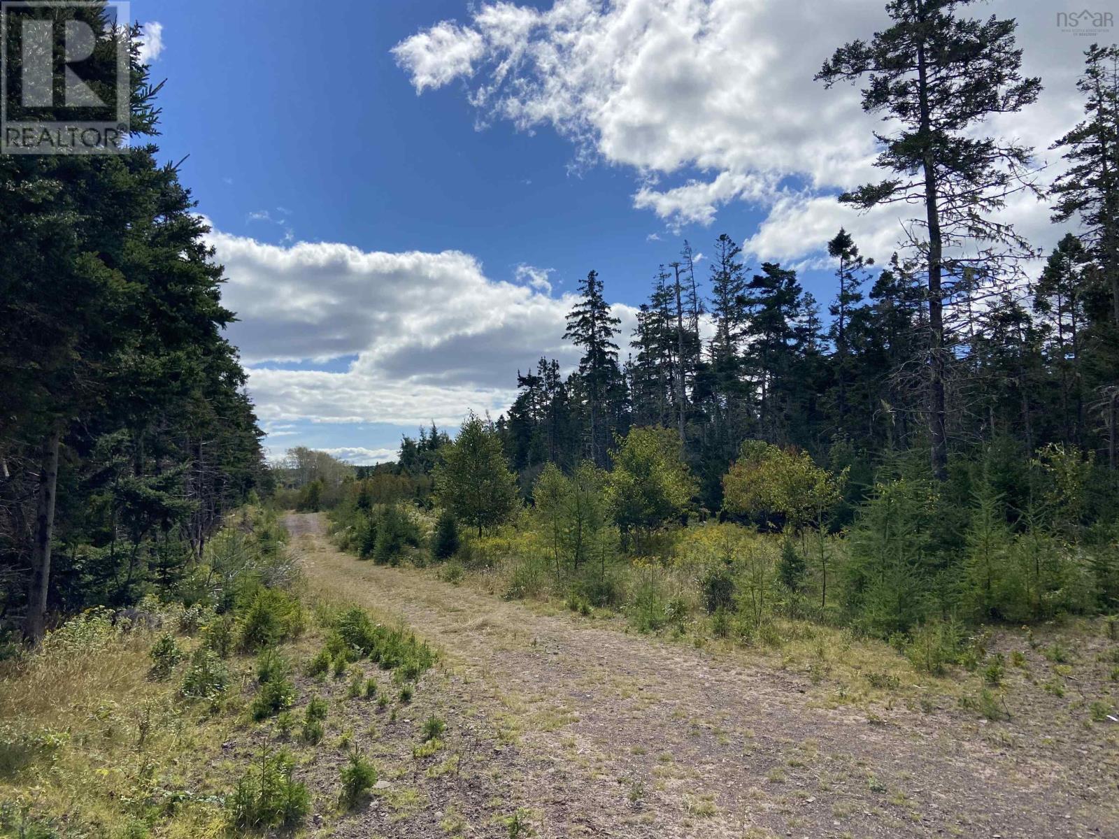 For sale Lot Highway 320, D'Escousse, Nova Scotia B0E1K0 202401544