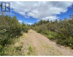 For sale: Lot Highway 320, D'Escousse, Nova Scotia B0E1K0 