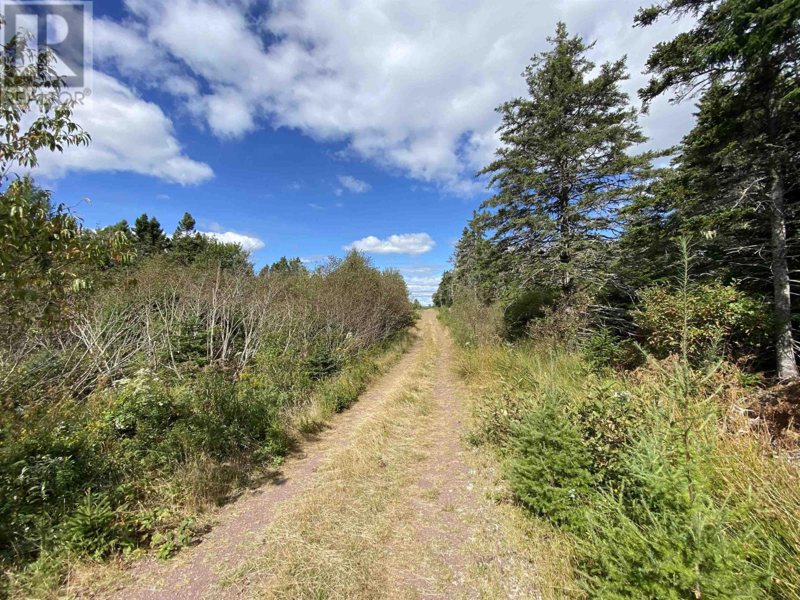 For sale Lot Highway 320, D'Escousse, Nova Scotia B0E1K0 202401544