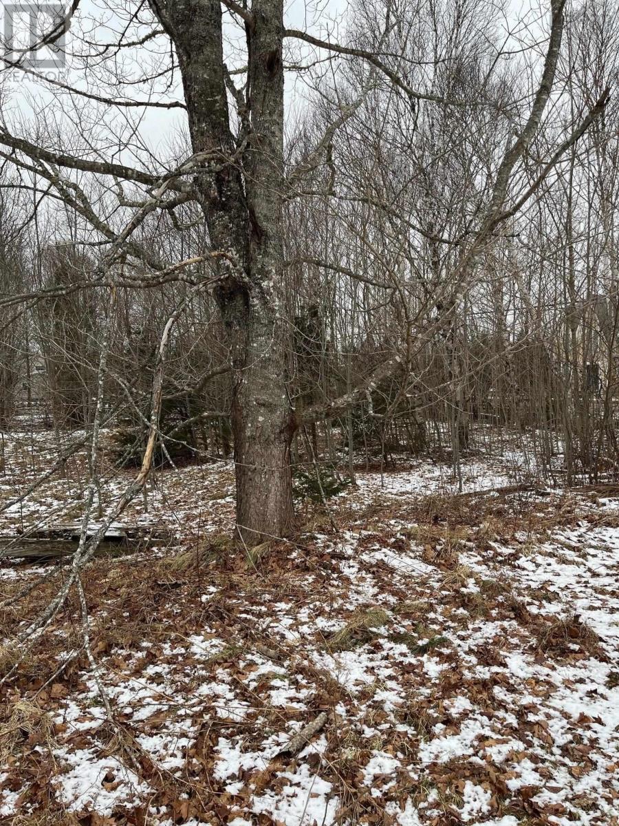 For sale Lot BD Salmon River Road, Valley, Nova Scotia B6L4E6