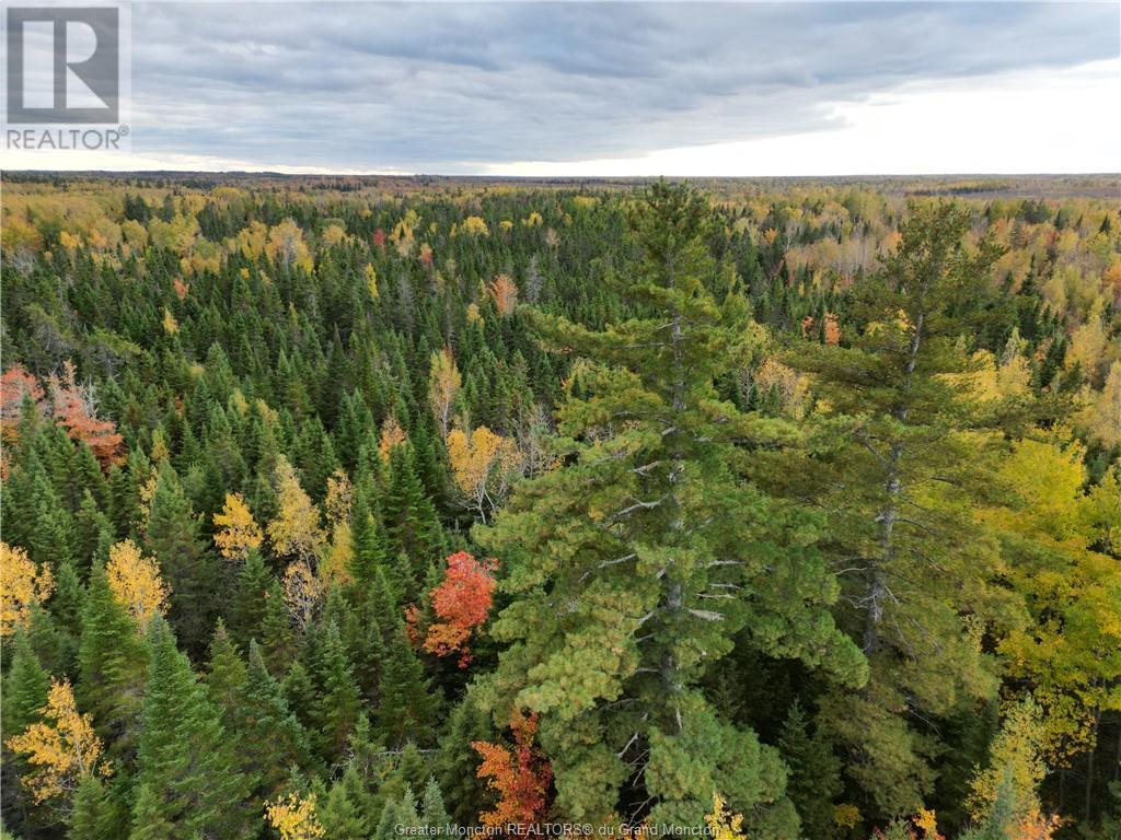 For sale 2639 Route 465, Beersville, New Brunswick E4T2P6 M157154