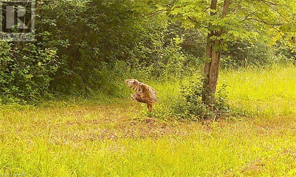 For sale 4511 MILLER Road, Port Colborne, Ontario L3B5N7 40533988