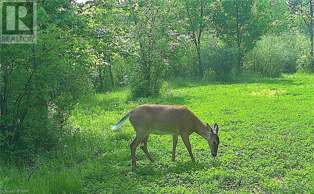 For sale 4511 MILLER Road, Port Colborne, Ontario L3B5N7 40533988
