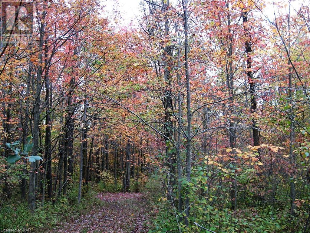 For sale 4511 MILLER Road, Port Colborne, Ontario L3B5N7 40533988 REALTOR.ca