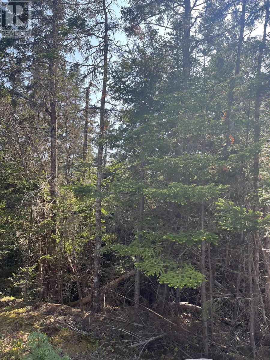 For sale Lot AB Highway 7, Head Of Chezzetcook, Nova Scotia B0J2L0