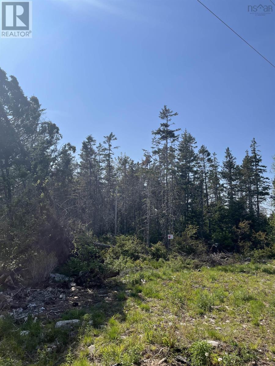 For sale Lot AB Highway 7, Head Of Chezzetcook, Nova Scotia B0J2L0 202402075 REALTOR.ca