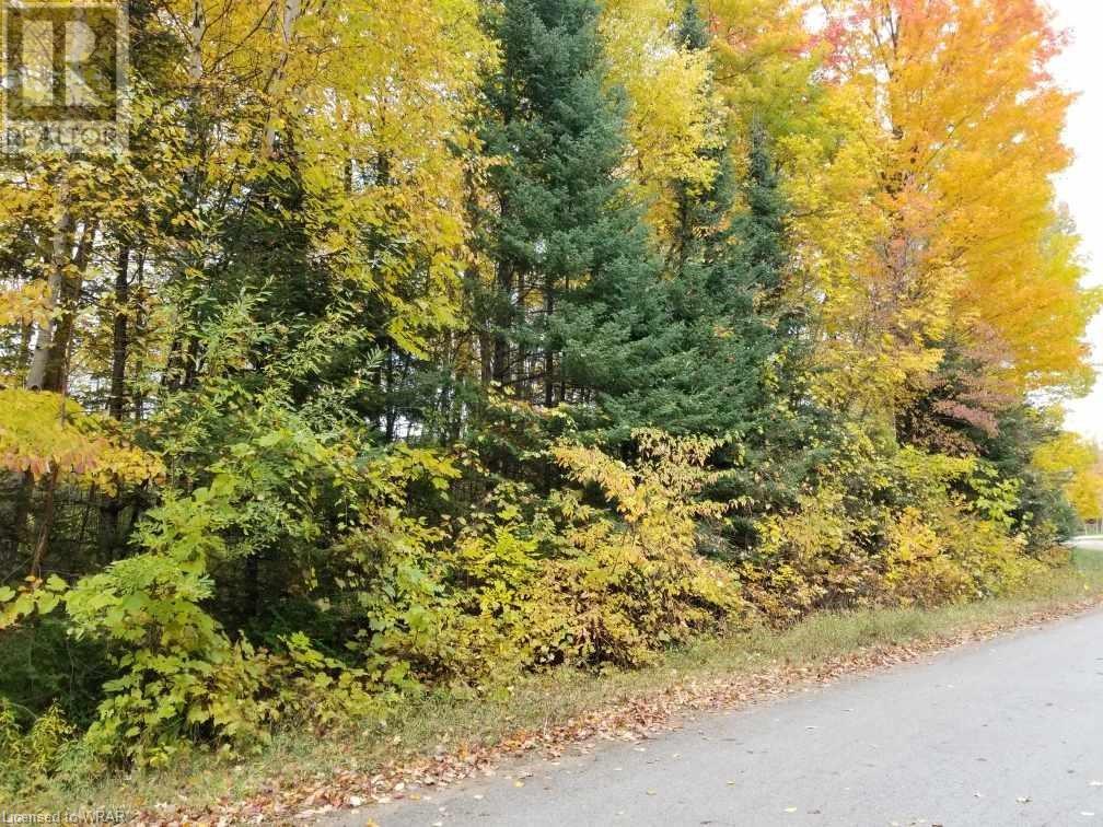 For sale 20 PINE FOREST Drive, Hepworth, Ontario N0H1P0 40536561