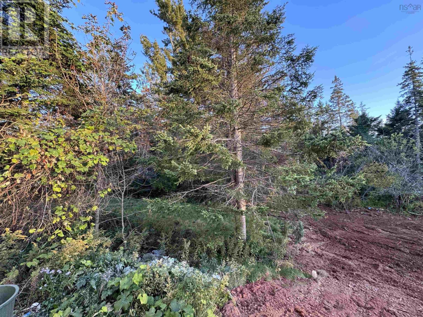 For sale 304 Mountain Lee Rd, North River, Nova Scotia B6L6M4 202321381 REALTOR.ca