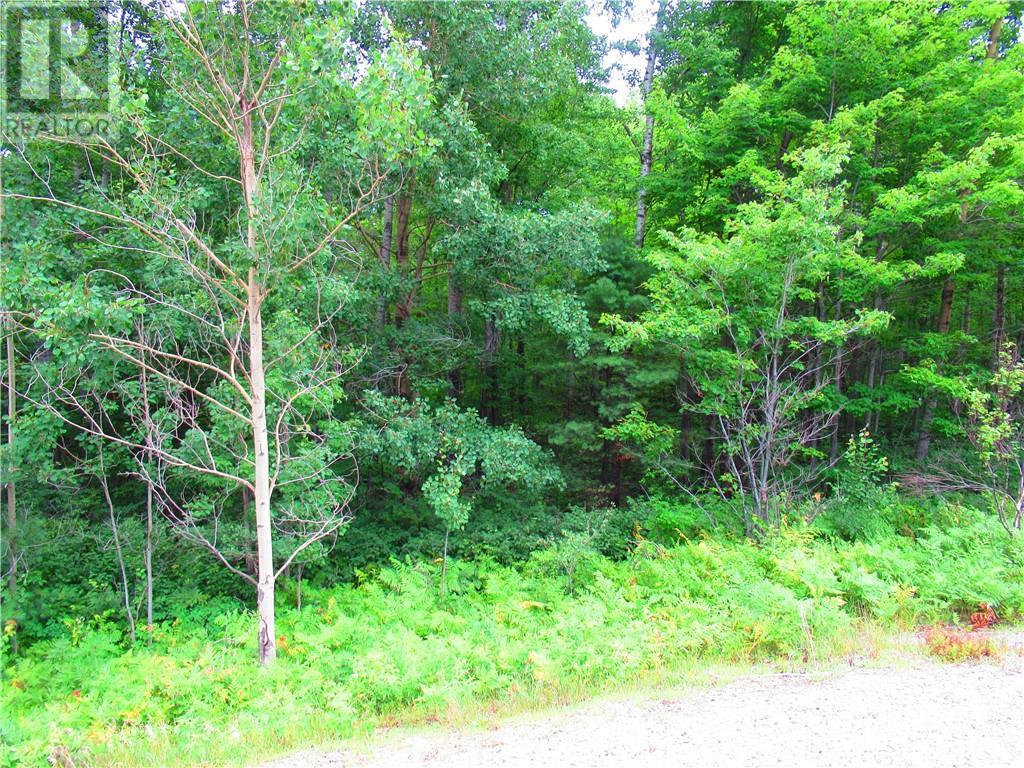 For sale HIGHWAY 17 HIGHWAY, Mackey, Ontario K0J2B0 1376261 REALTOR.ca