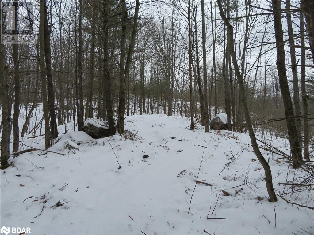 For sale 460 MUSQUASH Road, Gravenhurst, Ontario P1P1R2 40537598 REALTOR.ca