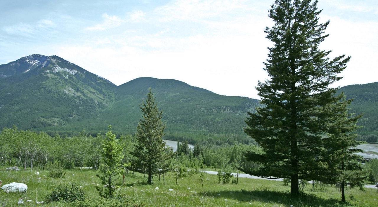For sale Lot 13 SILVER SPRINGS CROSSING, Elko, British Columbia V0B2J0