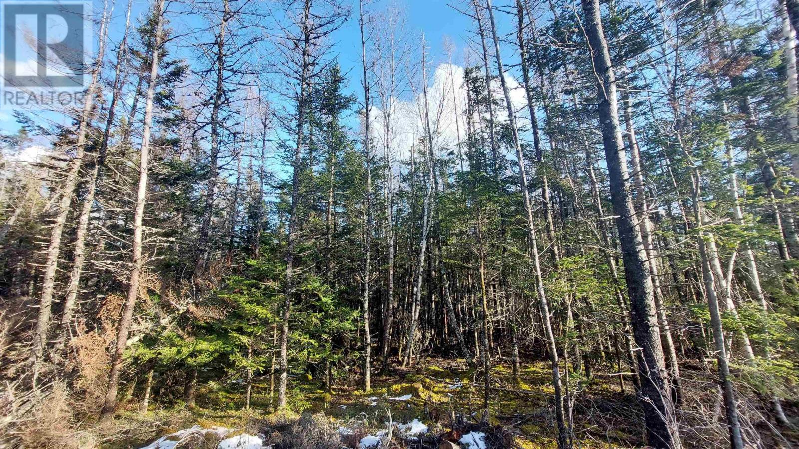 For sale Lot 29 Loch Lomond Dr., Loch Lomond, Nova Scotia B2E1A8