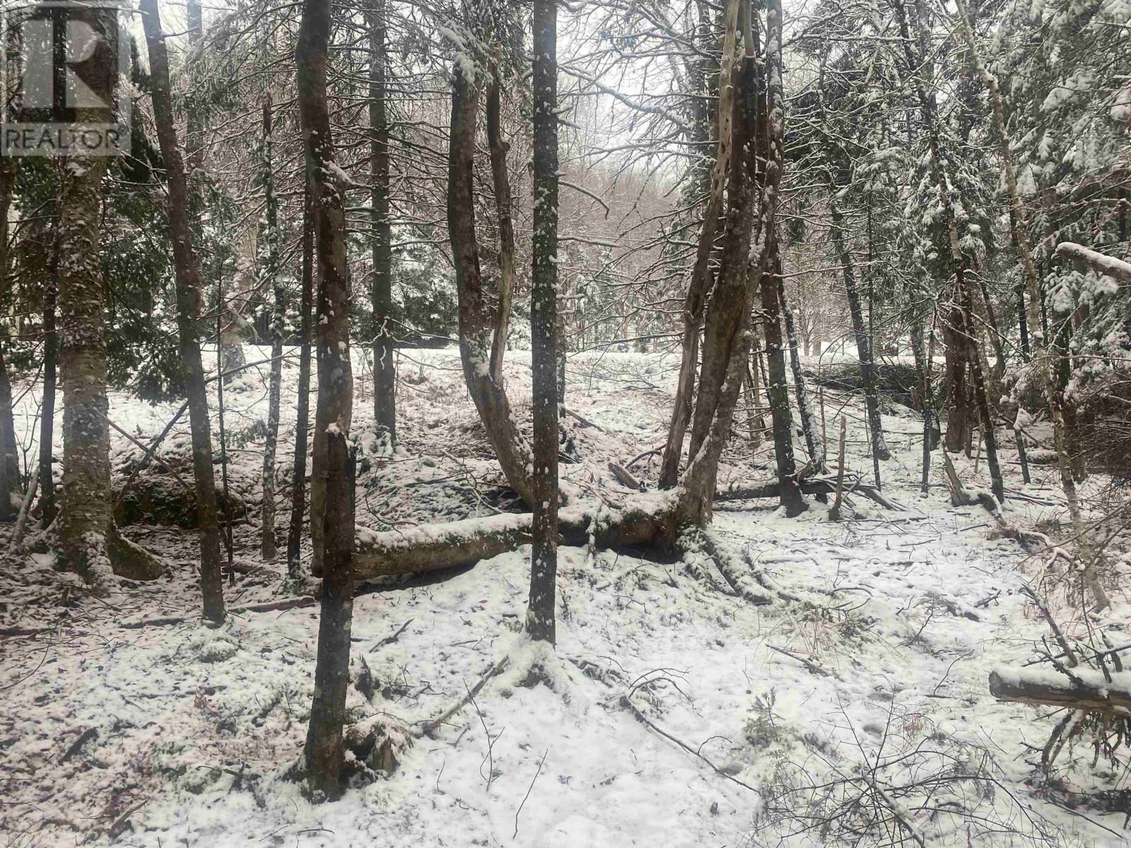 For sale Lot 10 Highway 357, Musquodoboit Harbour, Nova Scotia B0J2L0