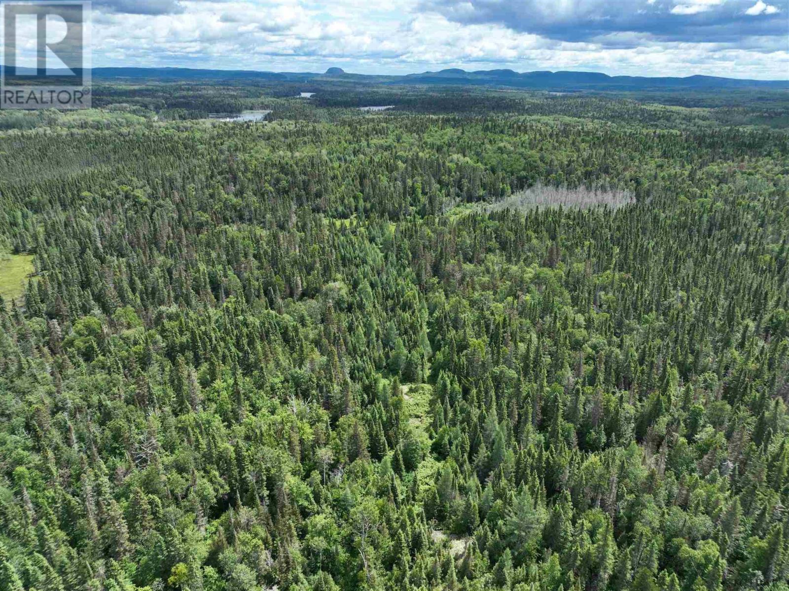 For sale PCL 10113 MINING CLAIM L10148, McVittie Township Larder