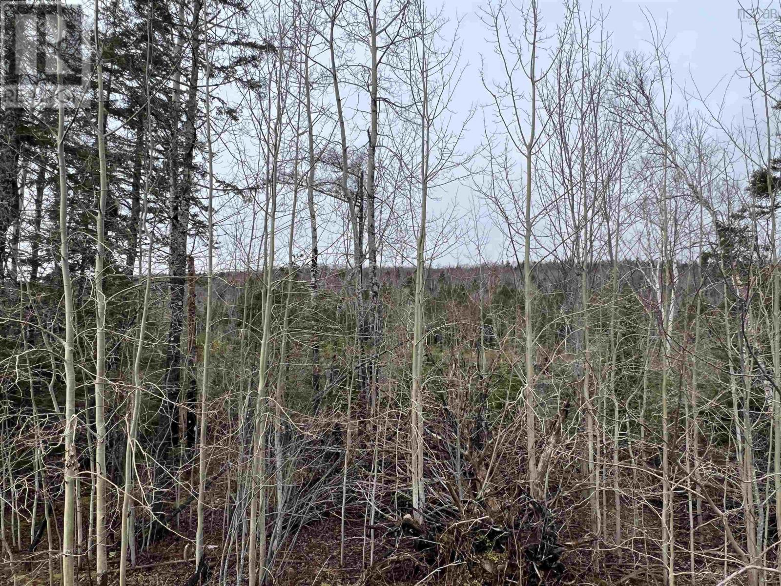 For sale Leitches creek Road, North Sydney, Nova Scotia B2A3Y9