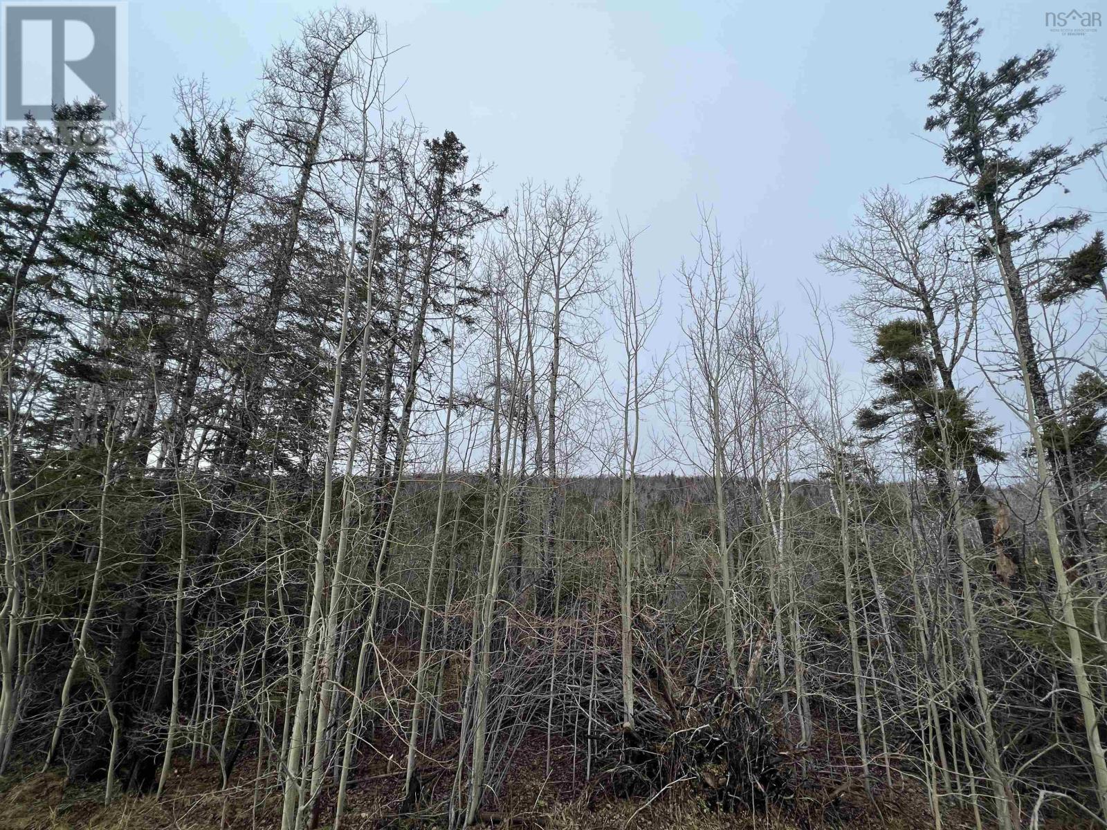 For sale Leitches creek Road, North Sydney, Nova Scotia B2A3Y9