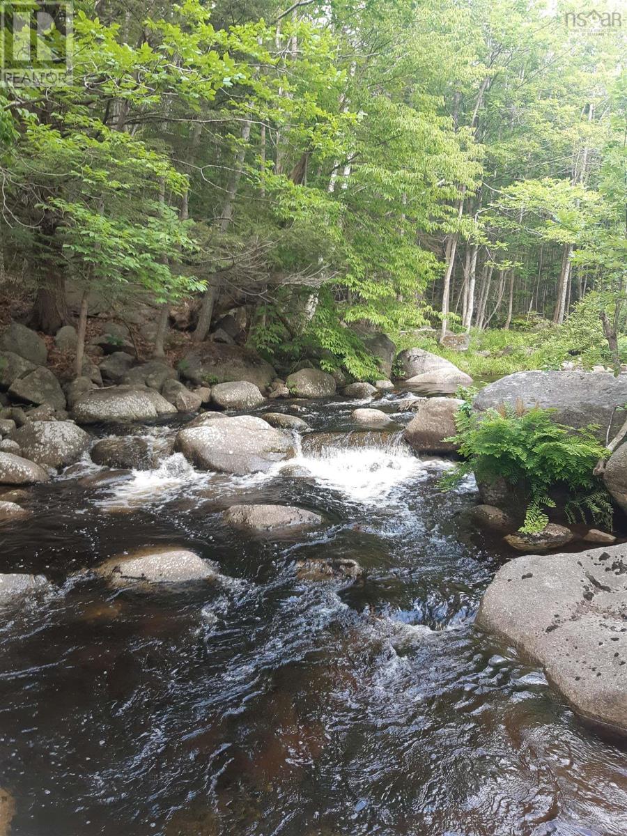 For sale Lots Clementsvale Road, Lequille, Nova Scotia B0S1A0 202403082 REALTOR.ca