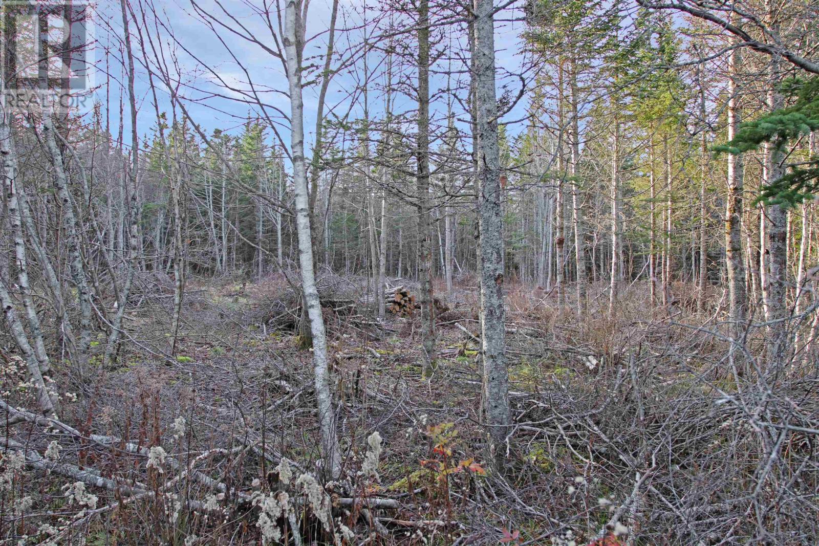 For sale Lot Arlington Road, Mount Hanley, Nova Scotia B0S1M0
