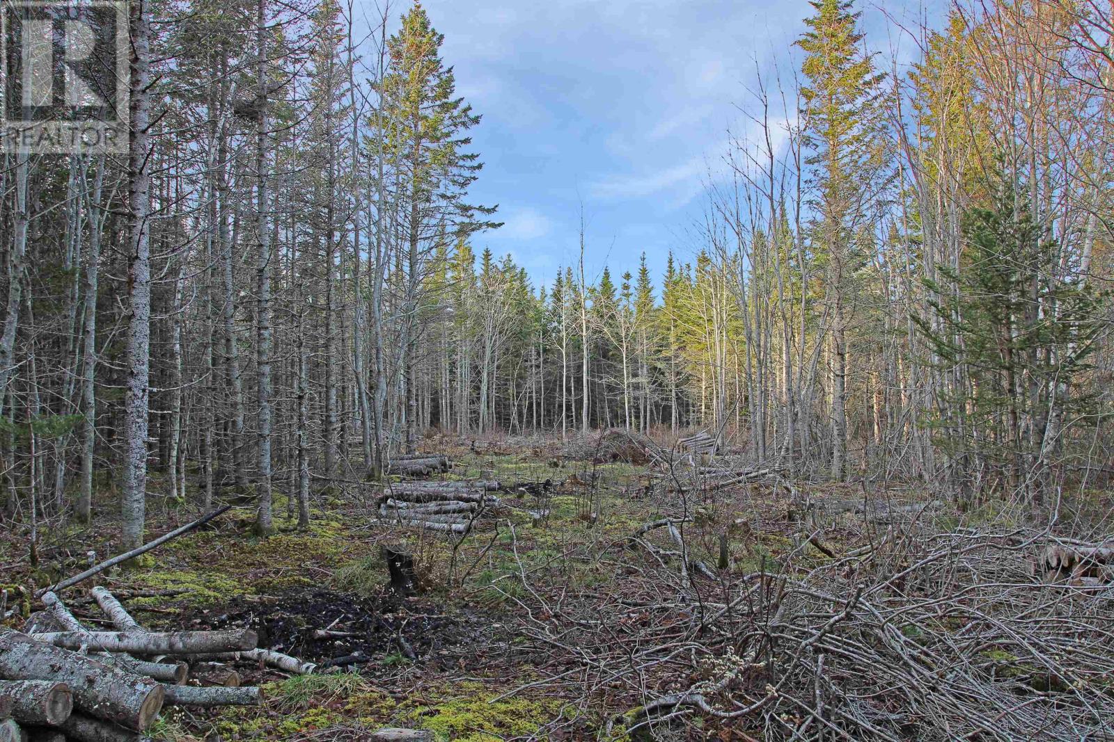 For sale Lot Arlington Road, Mount Hanley, Nova Scotia B0S1M0