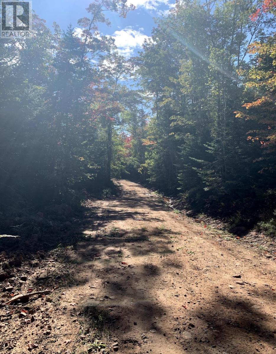 For sale Lot STEWIACKE Road, Lanesville, Nova Scotia B0N2J0