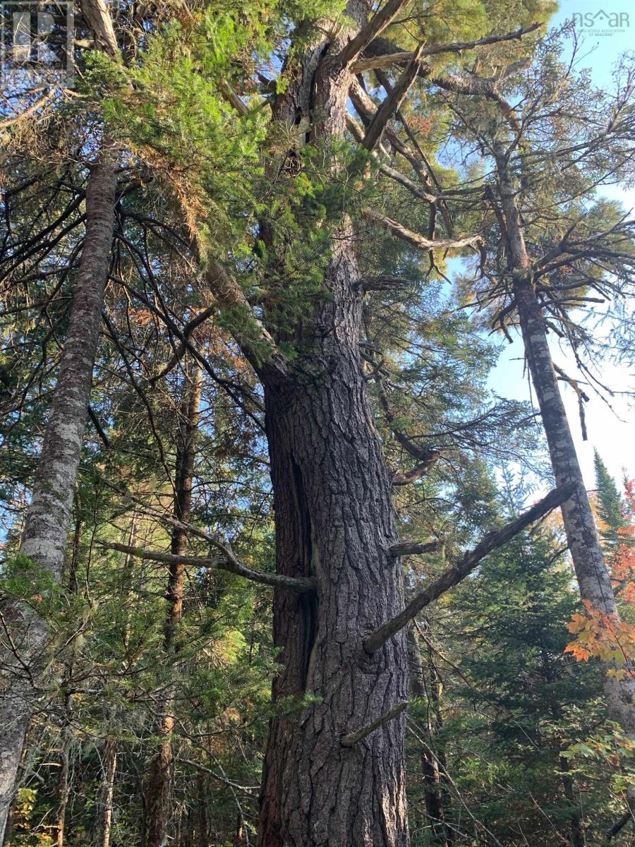 For sale Lot STEWIACKE Road, Lanesville, Nova Scotia B0N2J0