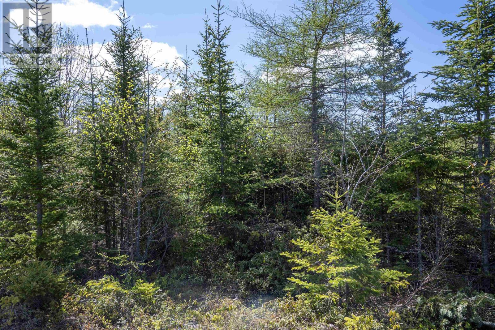 For sale NO 357 Highway, Meaghers Grant, Nova Scotia B0J2L0