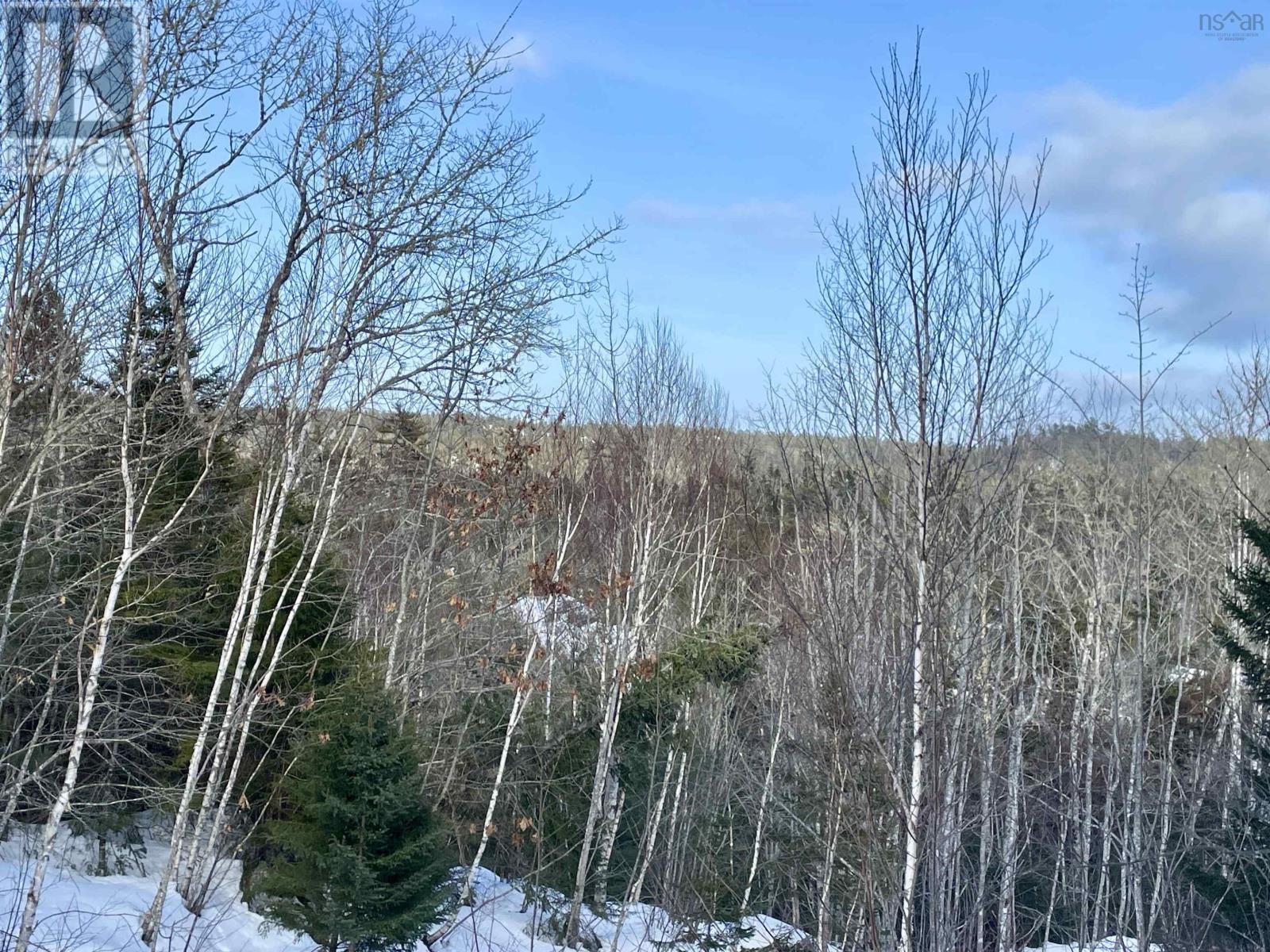 For sale NO 357 Highway, Meaghers Grant, Nova Scotia B0J2L0