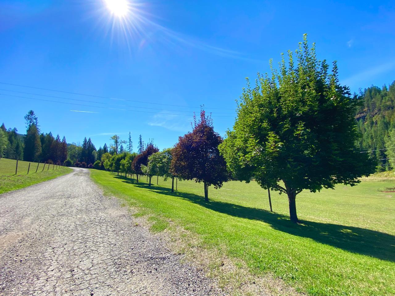 For sale 2505 BARLEY ROAD, Rossland, British Columbia V0G1Y0 2473389 REALTOR.ca