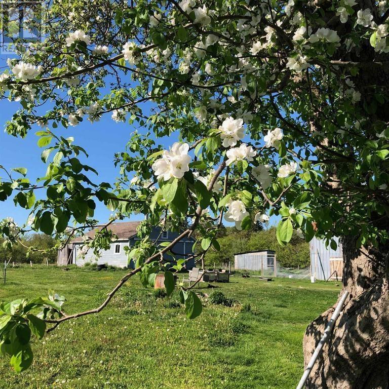 For sale 2947 Clementsvale Road, Bear River East, Nova Scotia B0S1B0