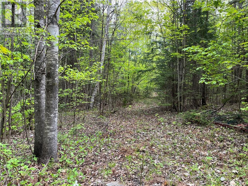 For sale 122 WESTERN DRIVE, Eganville, Ontario K0J1T0 1378862