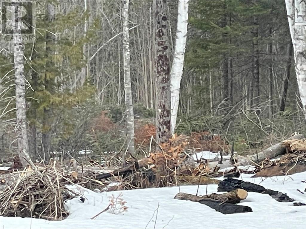 For sale Lot 12Con10 BARRYVALE ROAD, Calabogie, Ontario K0J1H0