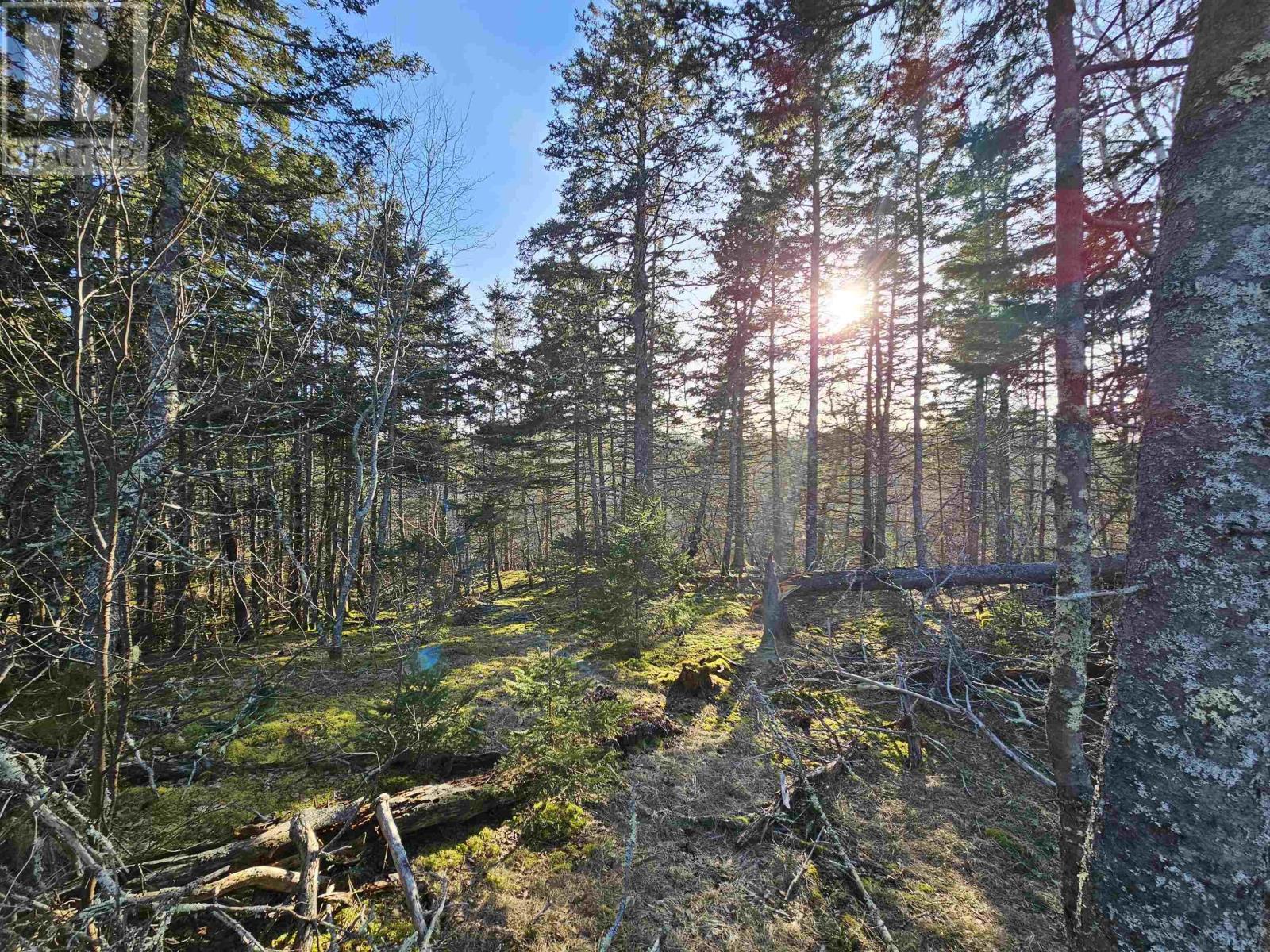 For sale Lot 3 Ocean Stone Drive, Garden Lots, Nova Scotia B0J2C0