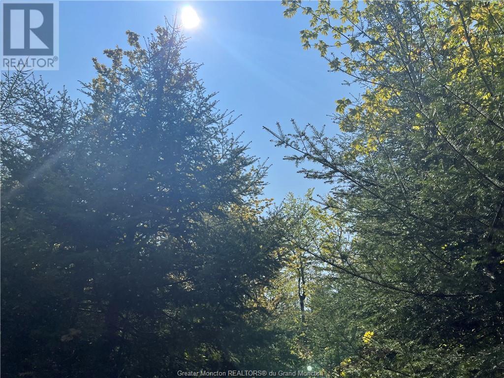 For sale 246 Poodiac RD, Hammondvale, New Brunswick E4E5G5 M157406