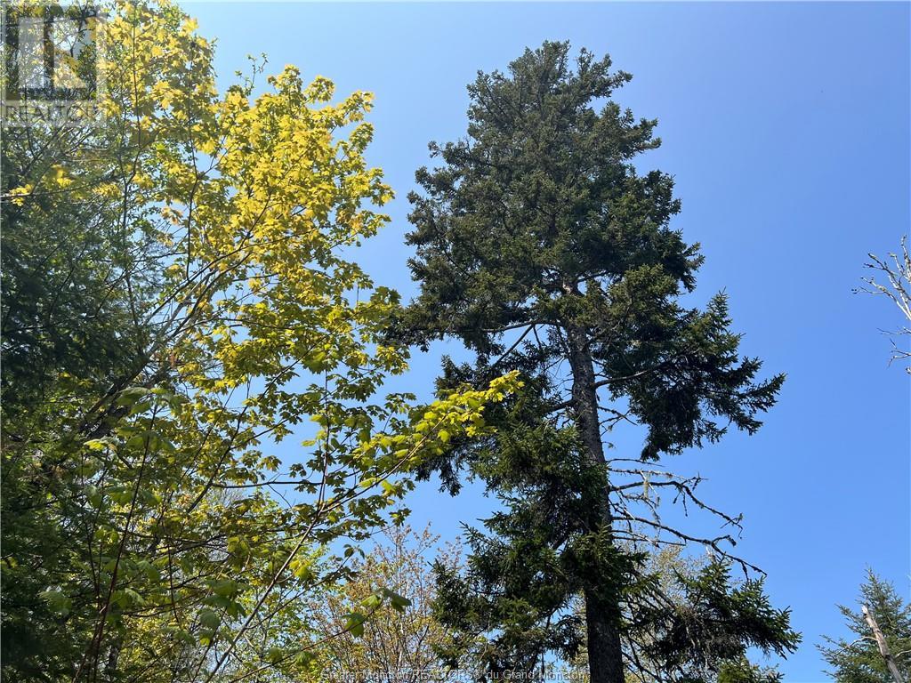 For sale 246 Poodiac RD, Hammondvale, New Brunswick E4E5G5 M157406