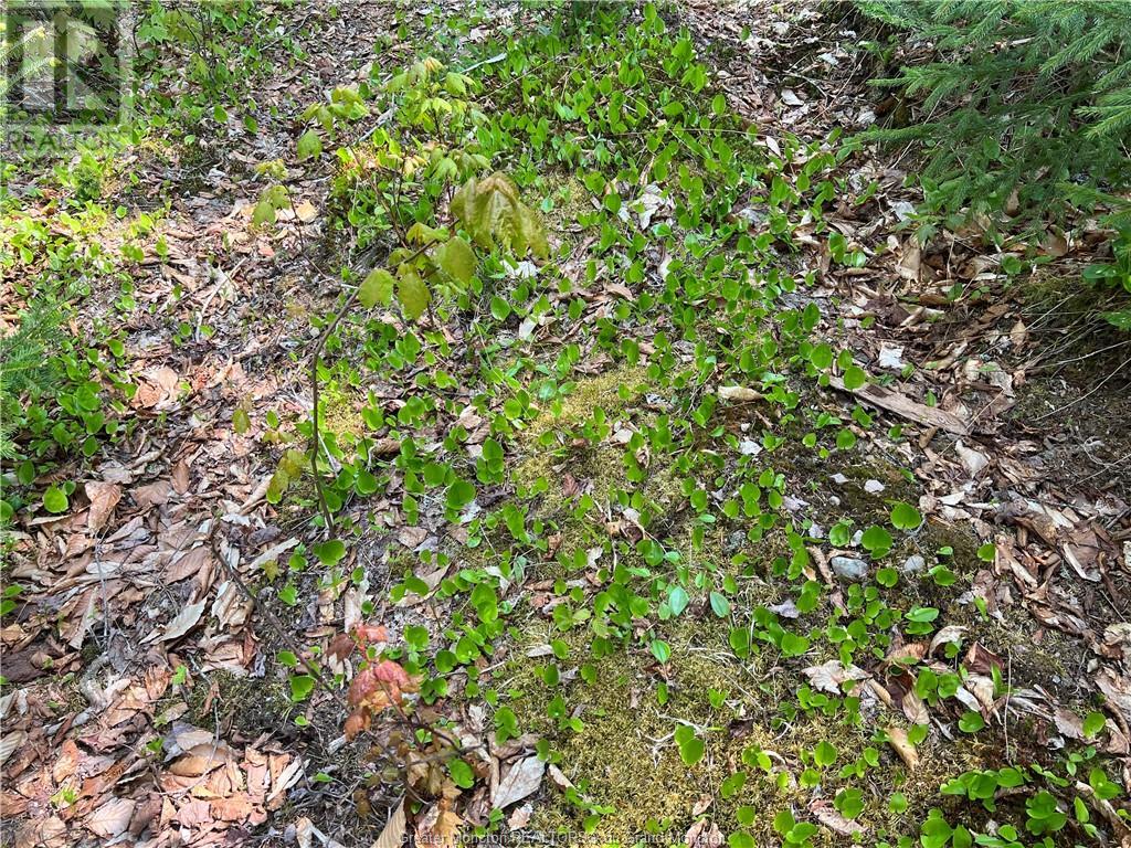 For sale 246 Poodiac RD, Hammondvale, New Brunswick E4E5G5 M157406