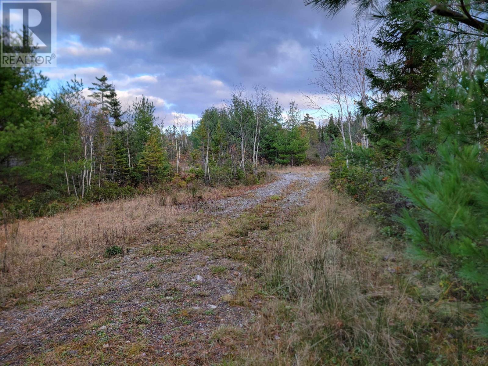 For sale Red Point Road Road, Red Point, Nova Scotia B2C1G9