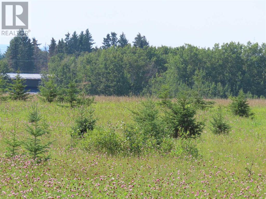 For sale 48 Street 53 Avenue, Benalto, Alberta T0M0H0 A2112431