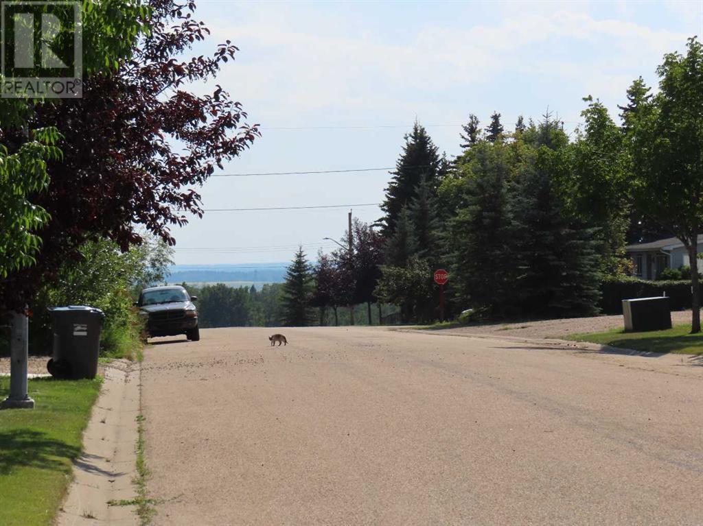 For sale 48 Street 53 Avenue, Benalto, Alberta T0M0H0 A2112431