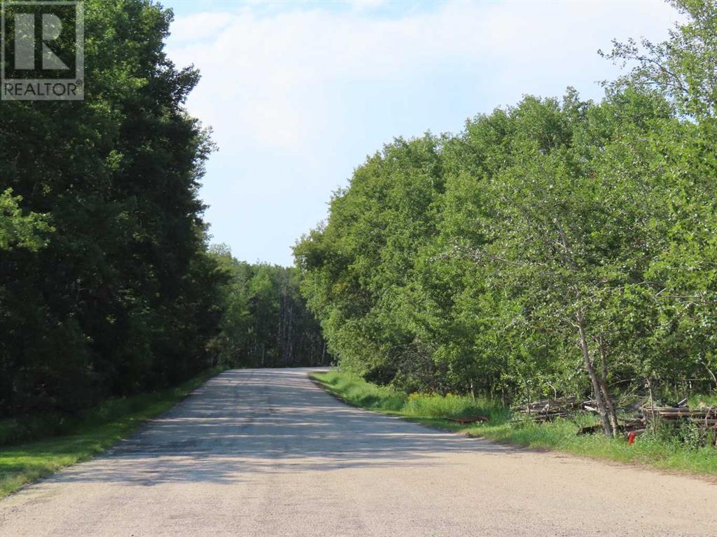 For sale 48 Street 53 Avenue, Benalto, Alberta T0M0H0 A2112431