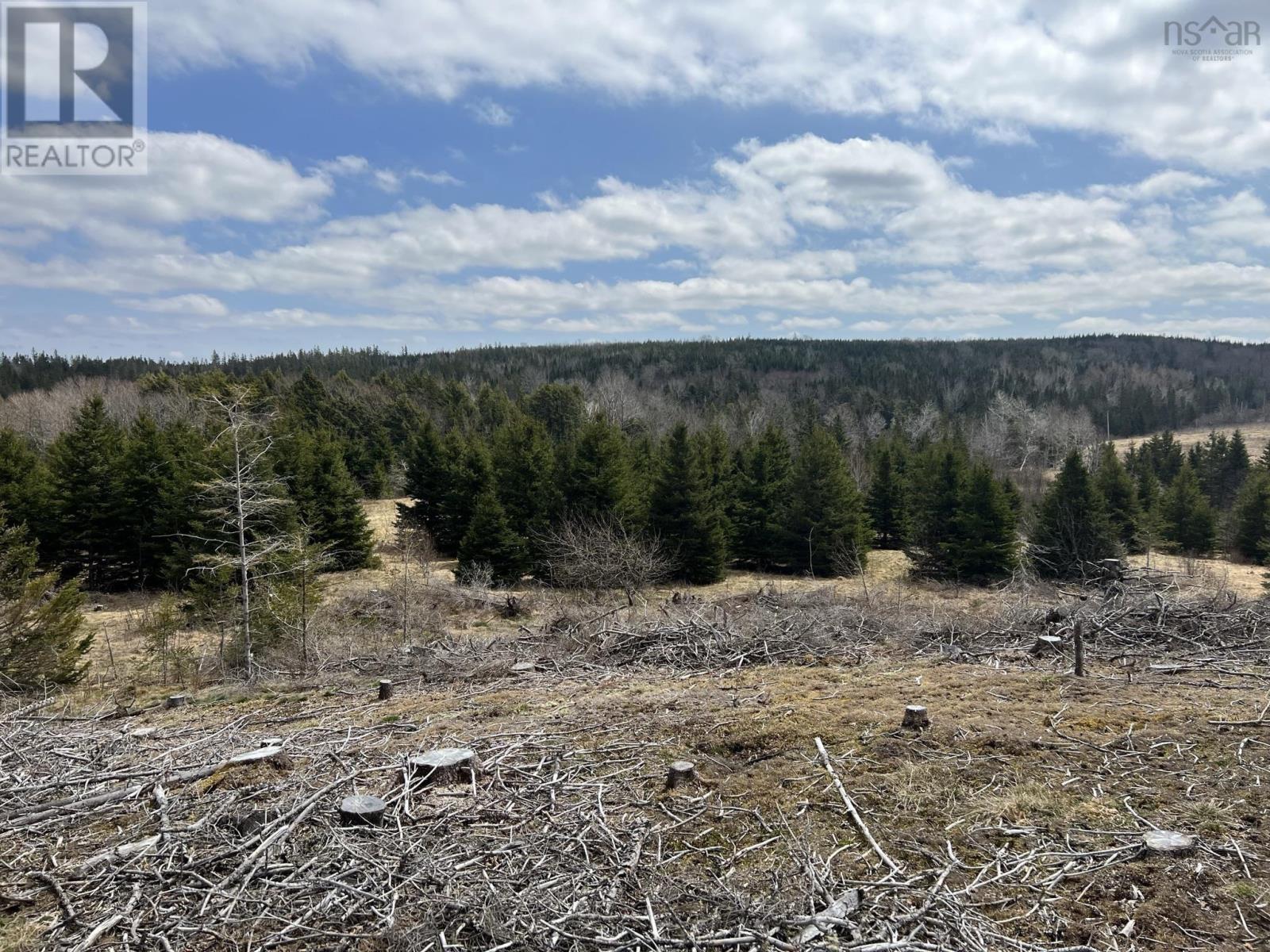 For sale 229 Lairg Road, New Lairg, Nova Scotia B0K2A0 202307447