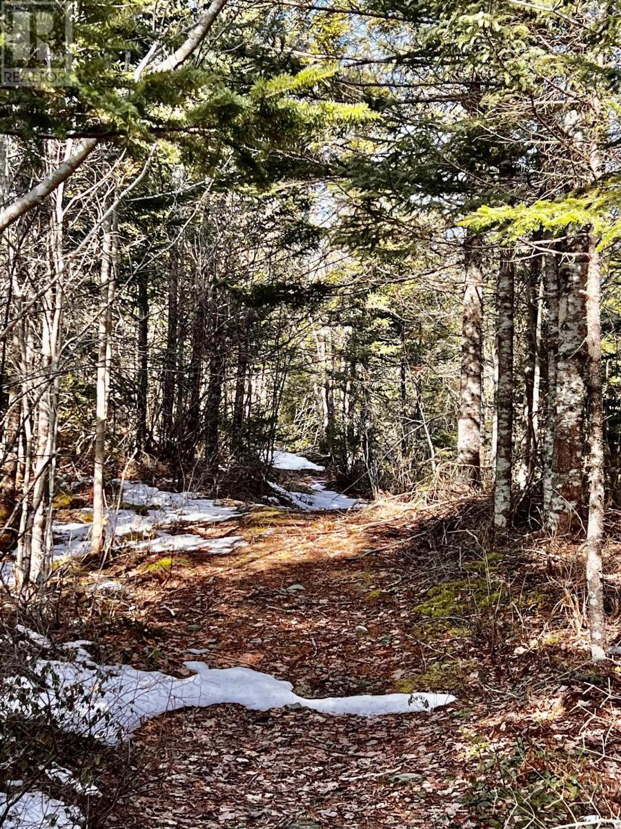 For sale Partridge River (Grant 3525) Road, East Preston, Nova Scotia