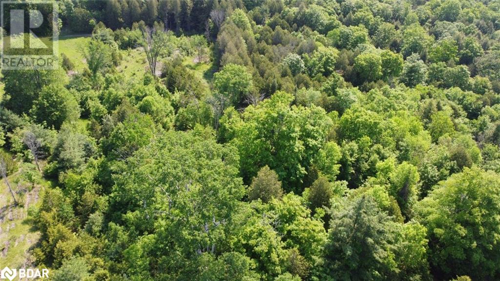 For sale 5966 506 Highway, Plevna, Ontario K0H1C0 40552600 REALTOR.ca