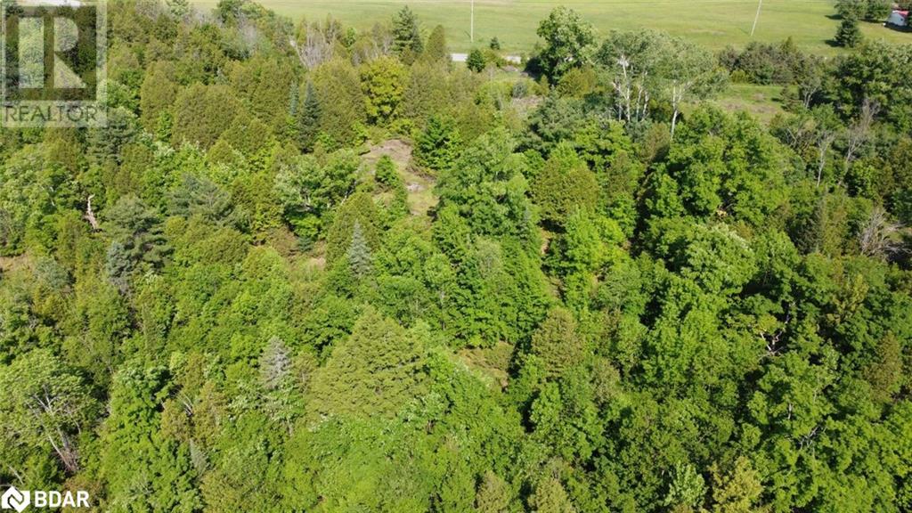 For sale 5966 506 Highway, Plevna, Ontario K0H1C0 40552600 REALTOR.ca