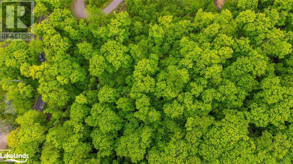 For sale 0 GRACE RIVER Road, Wilberforce, Ontario K0L3C0 40549856