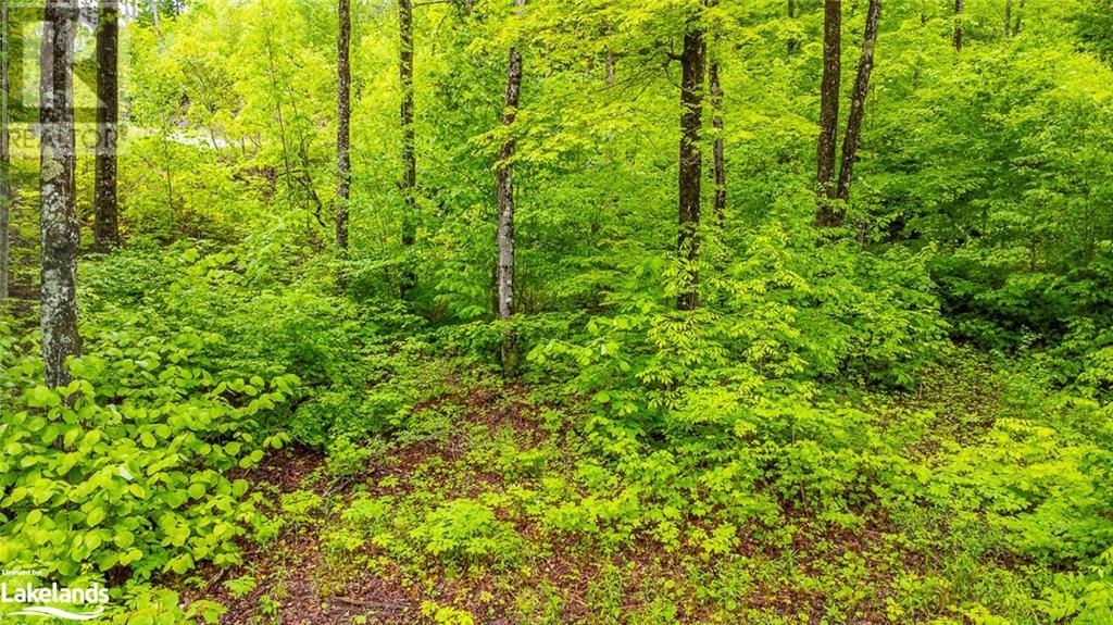 For sale 0 GRACE RIVER Road, Wilberforce, Ontario K0L3C0 40549856