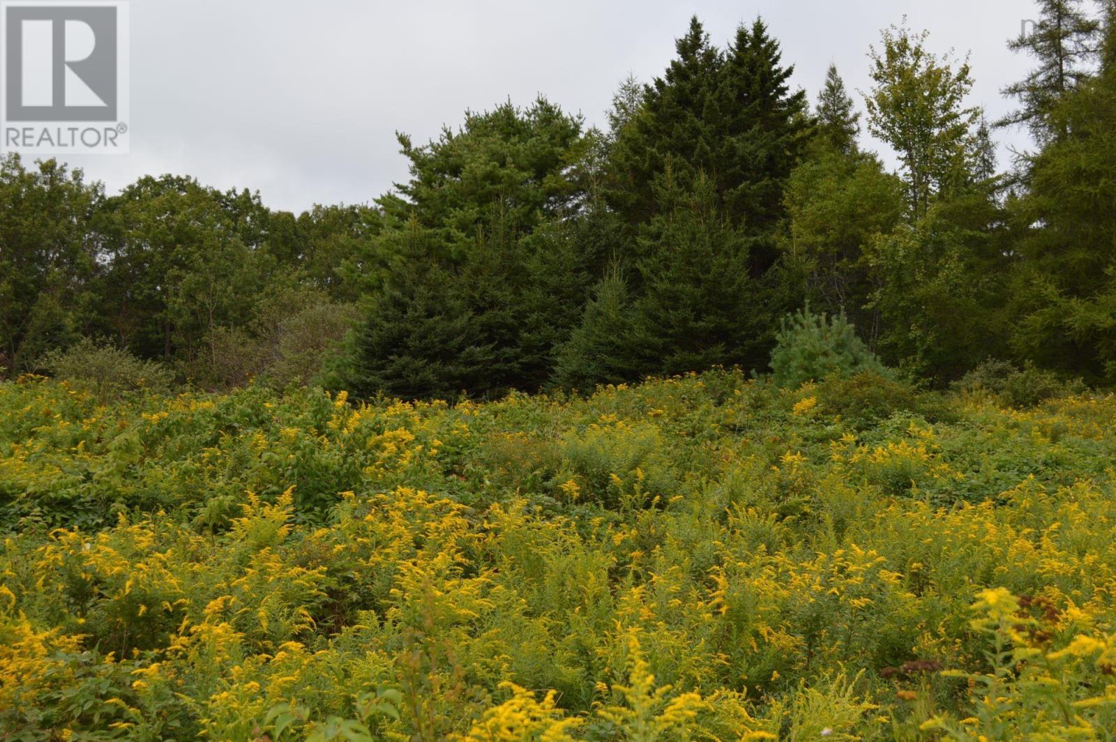 For sale Lots Highway 332, (7 Pid's), East Lahave, Nova Scotia B4V0V7