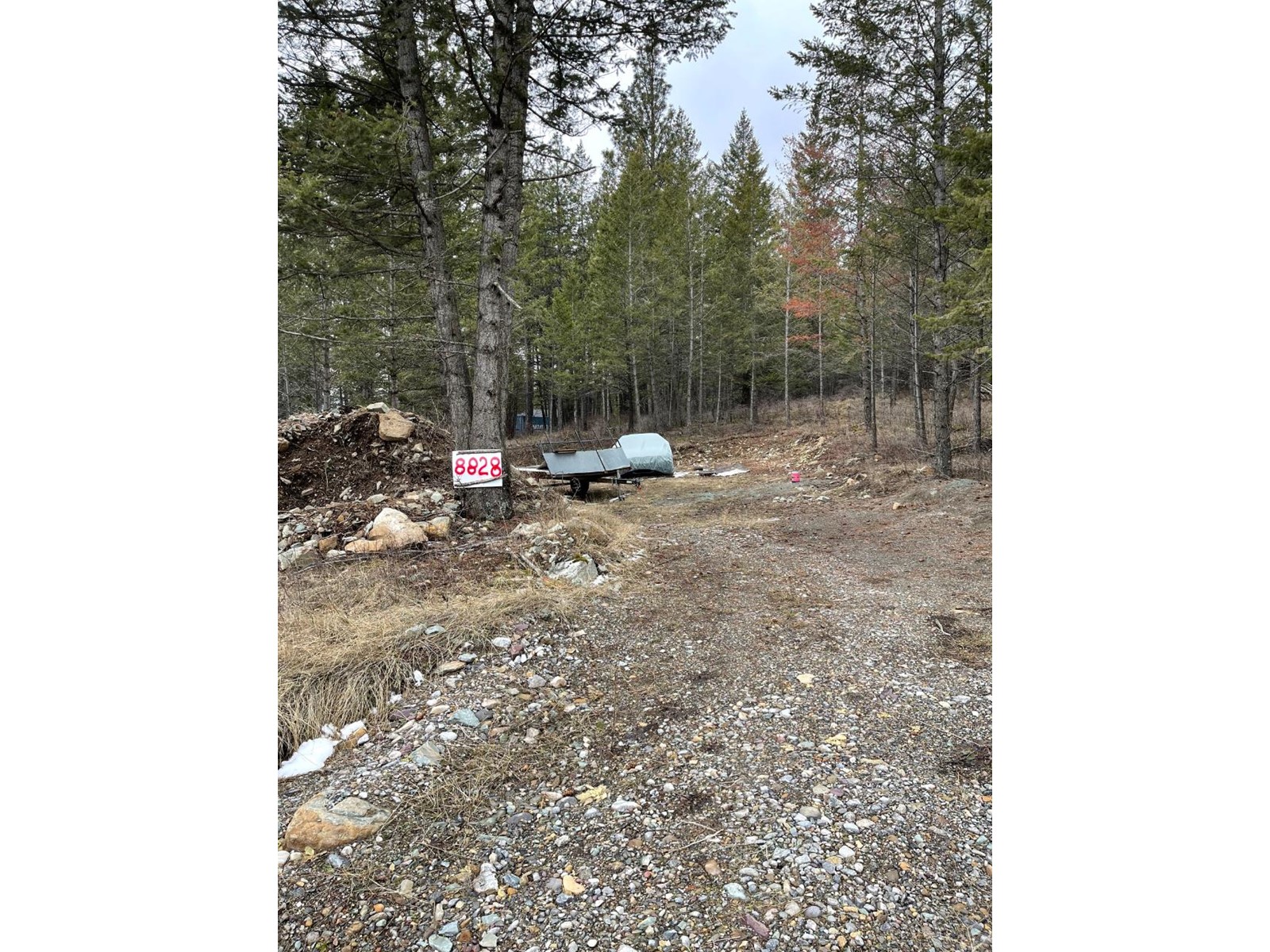 For sale 8828 NORTH HIRTZ STREET, Elko, British Columbia V0B1T3