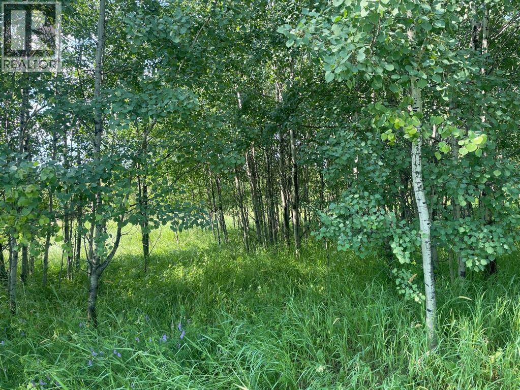 For sale 1003 20 Avenue, Marlboro, Alberta T7E3A1 A2114418 REALTOR.ca