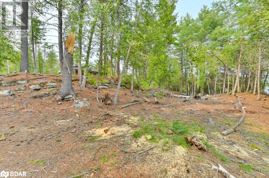 For sale 1008B GORDIE Lane, Ompah, Ontario K0H2J0 40554413 REALTOR.ca